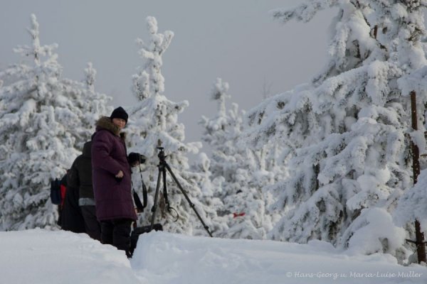 Lappland 2009