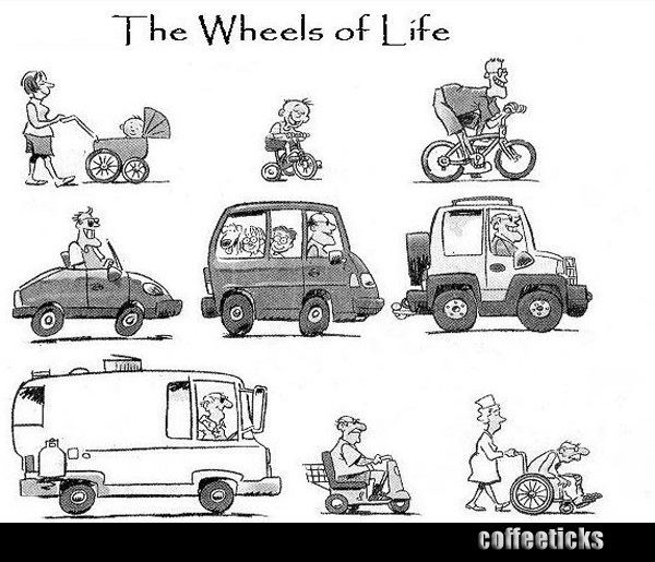 The-Wheels-of-Life
